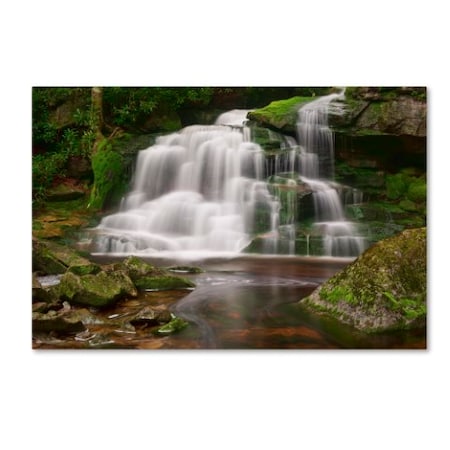 Michael Blanchette Photography 'Elakala Falls' Canvas Art,30x47